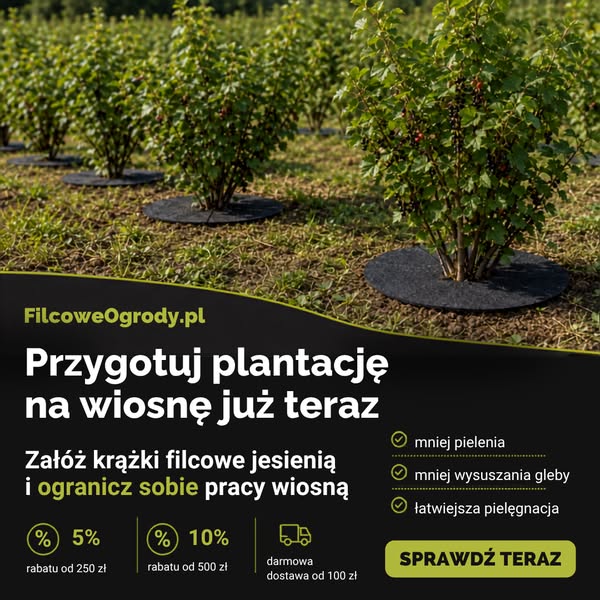 Sprawdź teraz
