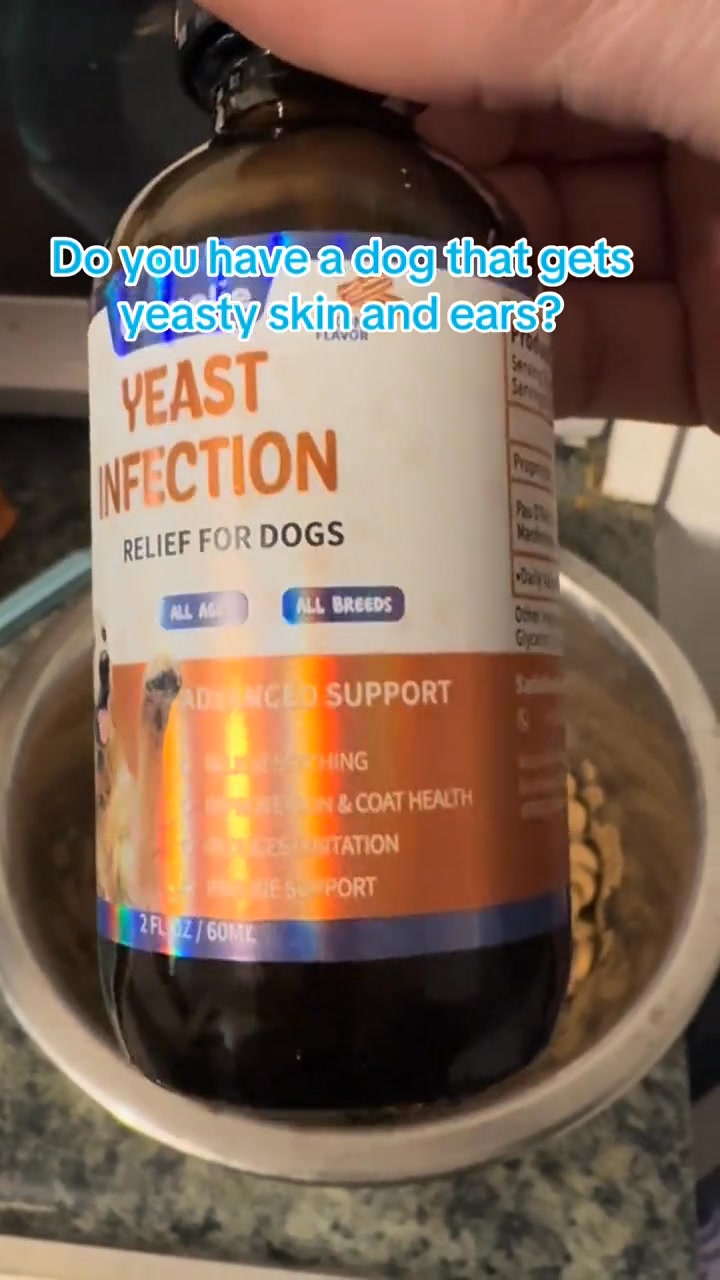 The Fastest Relief for Itchy, Smelly Dog Ears