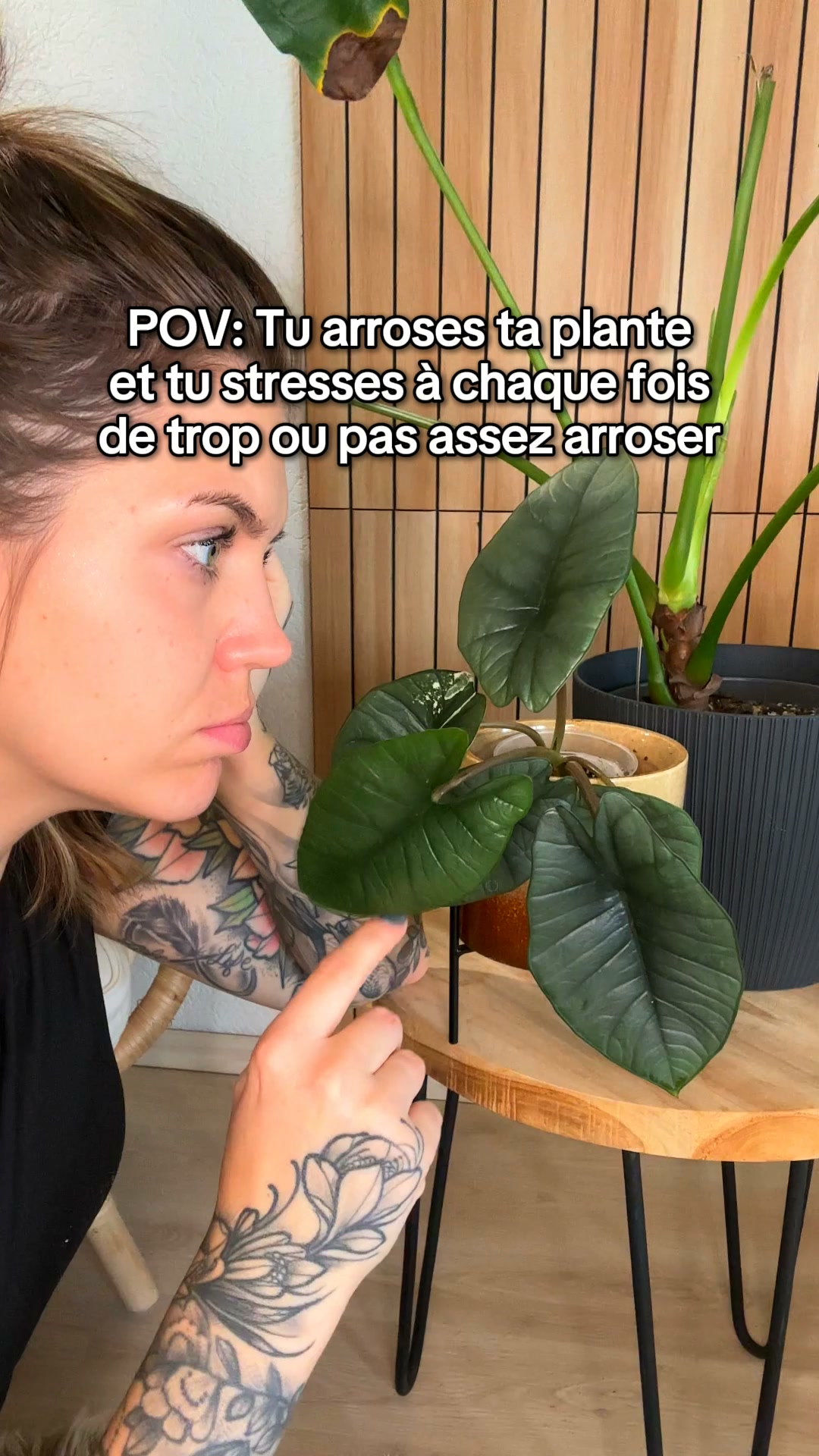 Noté 4,8/5 sur trustpilot ( 5000+)