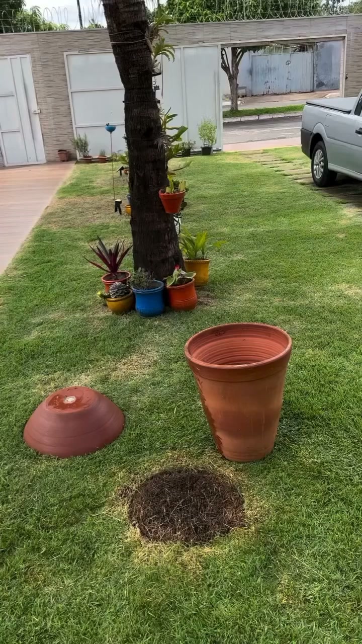 Rinfresca il tuo giardino d'estate