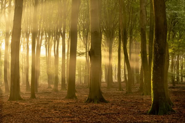 Mooiere landschapsfoto's maken