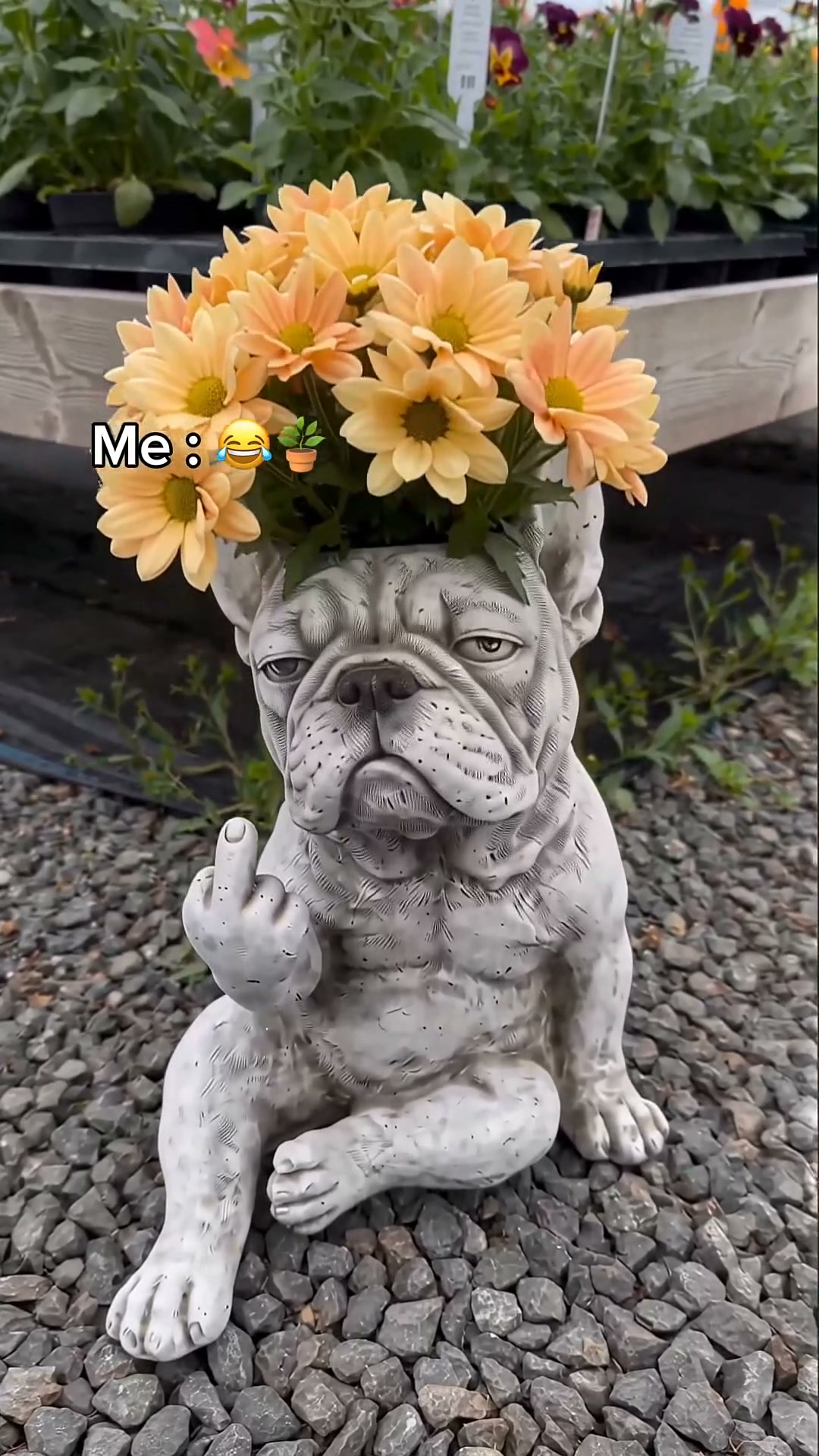 Funny French Bulldog Planter Pot