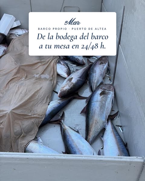 De la bodega del barco a tu mesa en 24/48 h