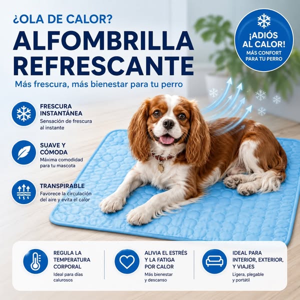 Dale su rincón fresco este verano