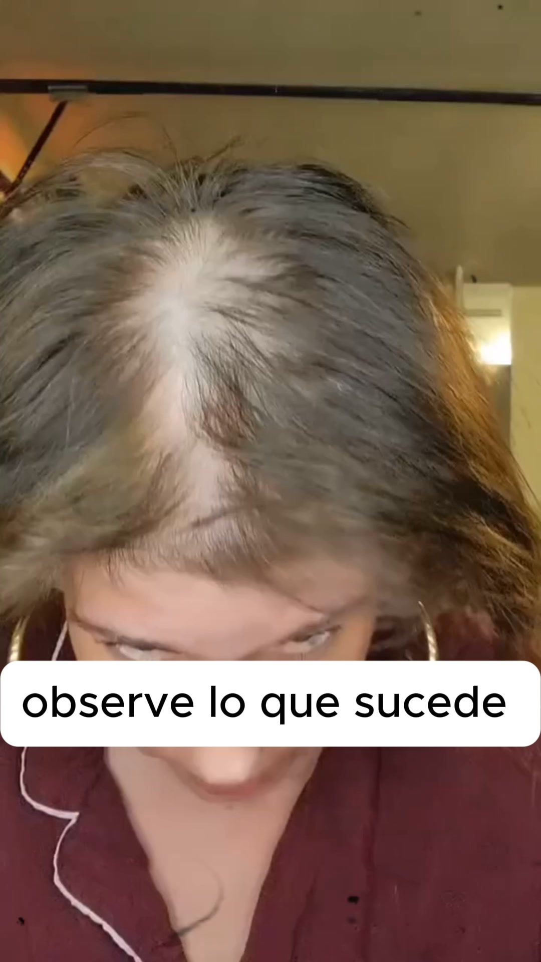 Envío Gratis. Entrega 24-72h
