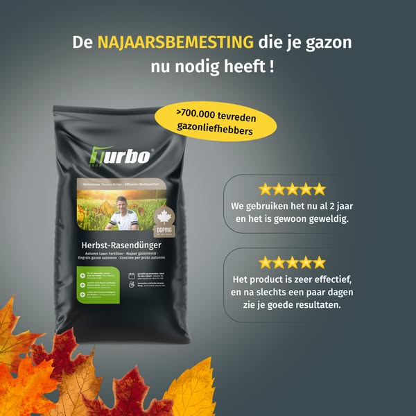 Je gazon redden na de zomer