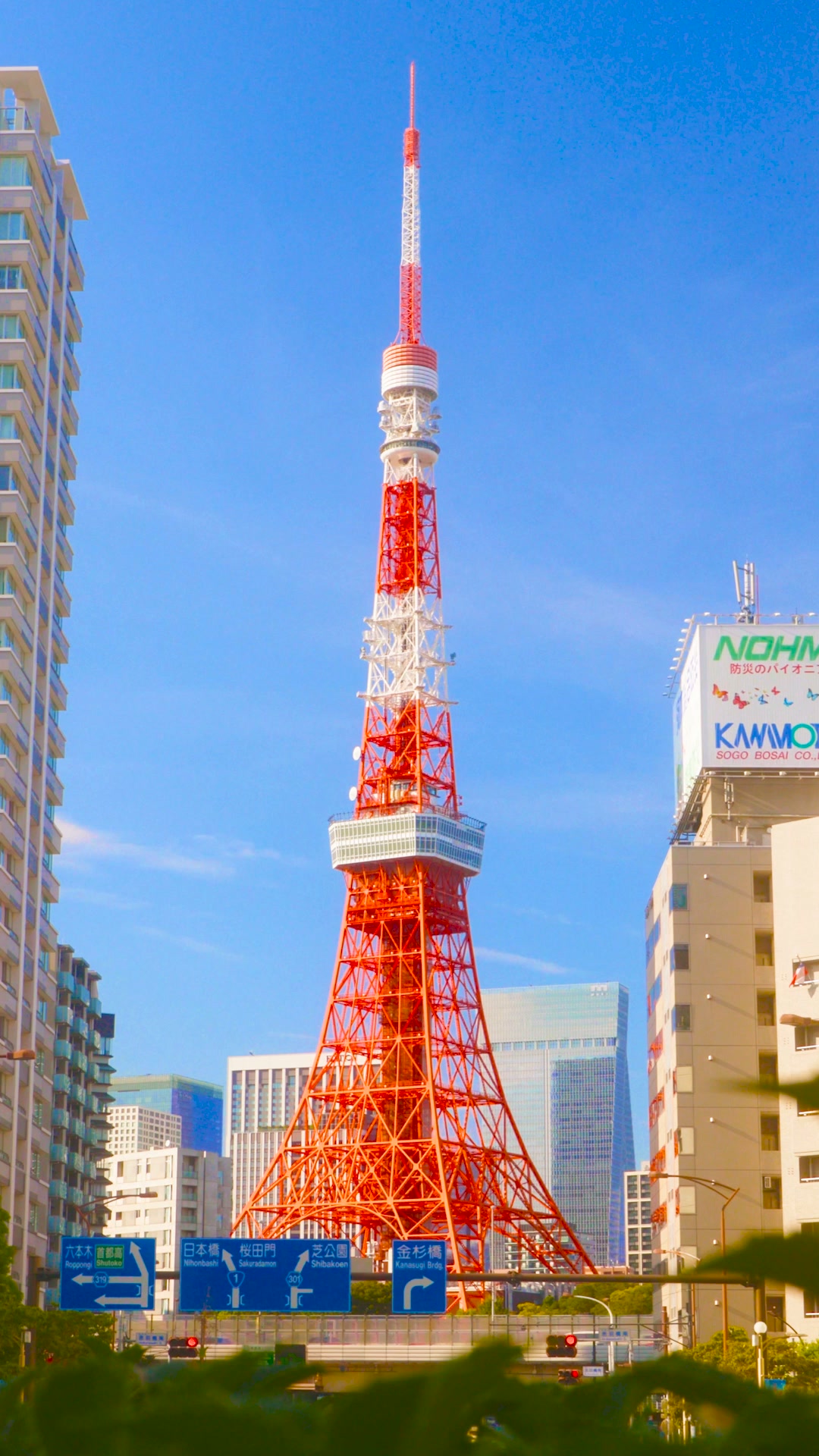 Experience Tokyo, One Surprise at a Time!