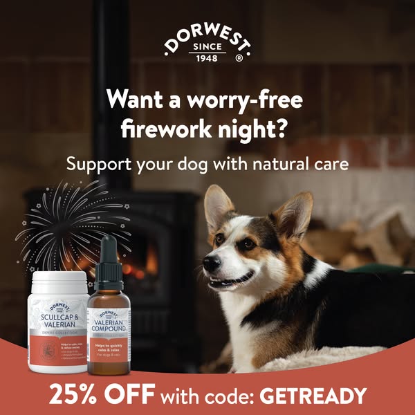 Save 25% with GETREADY