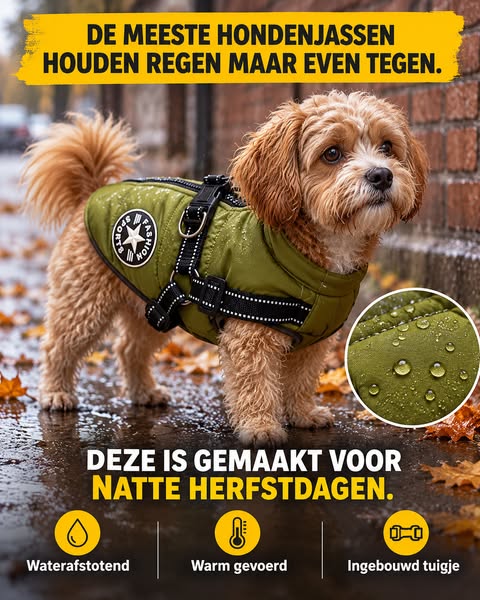 Bekijk Aanbieding