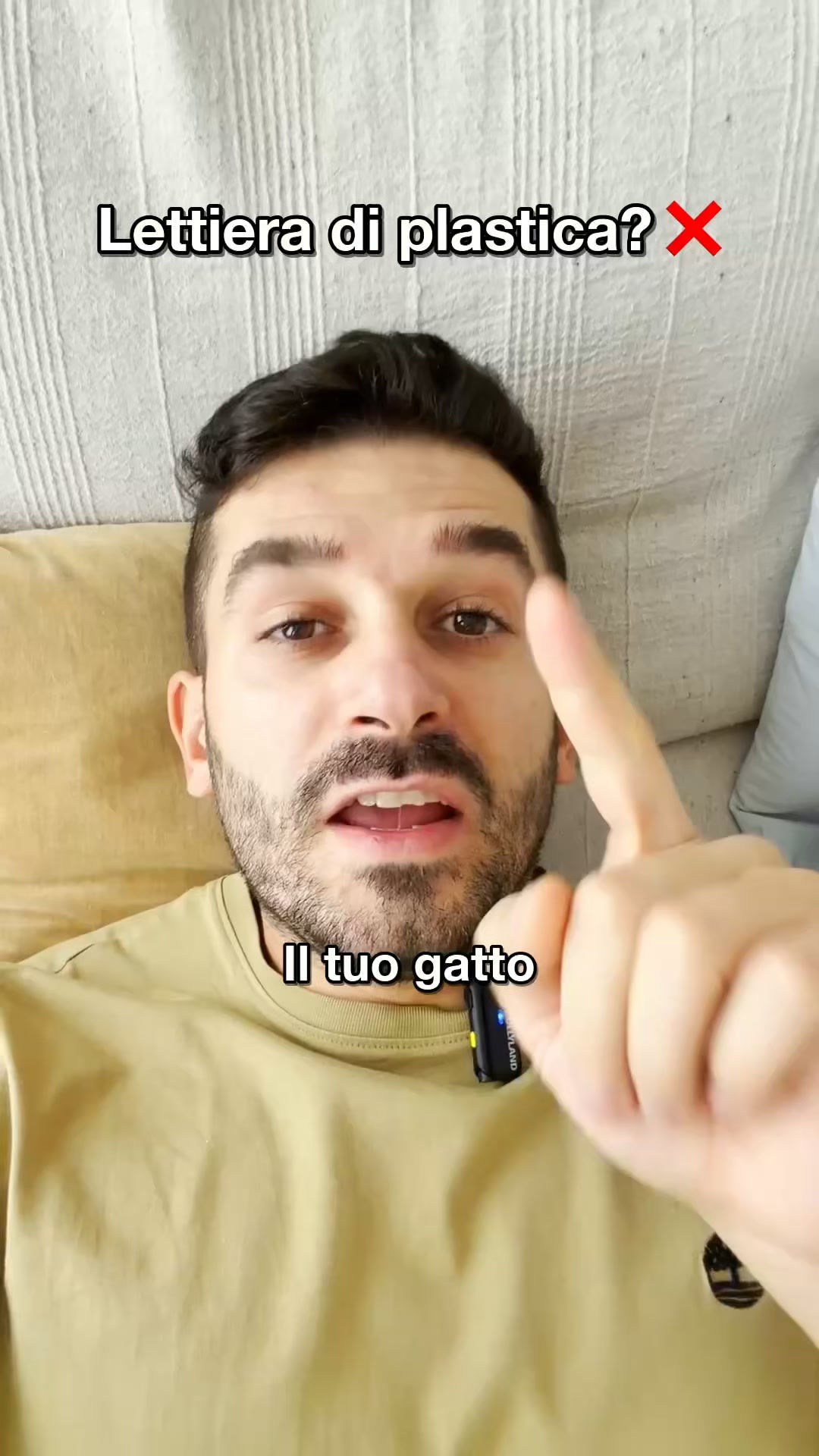 Ecco come ho eliminato la puzza di lettiera