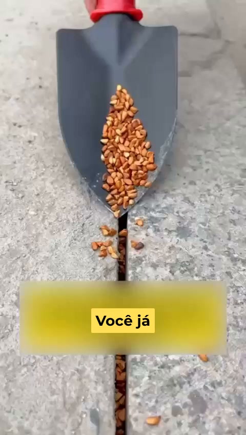 Envio grátis: 24h e pagamento na entrega