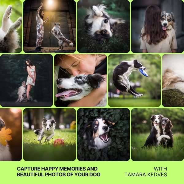 Dog Photography eBook