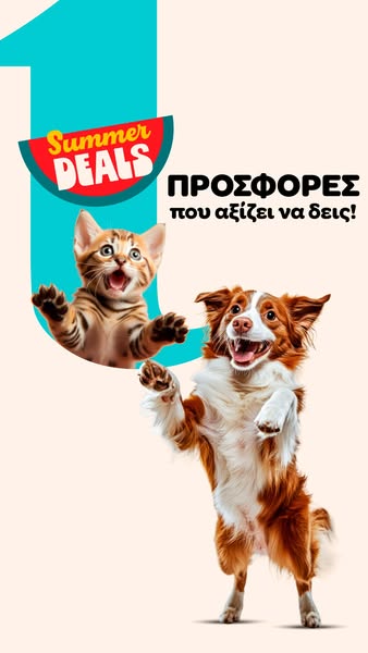 Summer Deals
