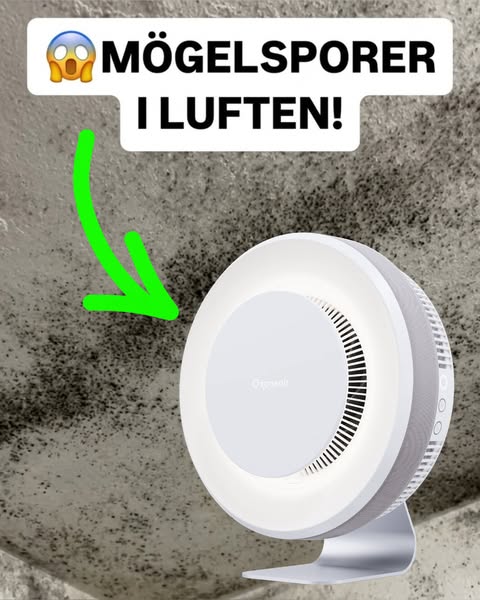 ANDAS DU IN MÖGLETS SPORER NÄR DU SOVER?