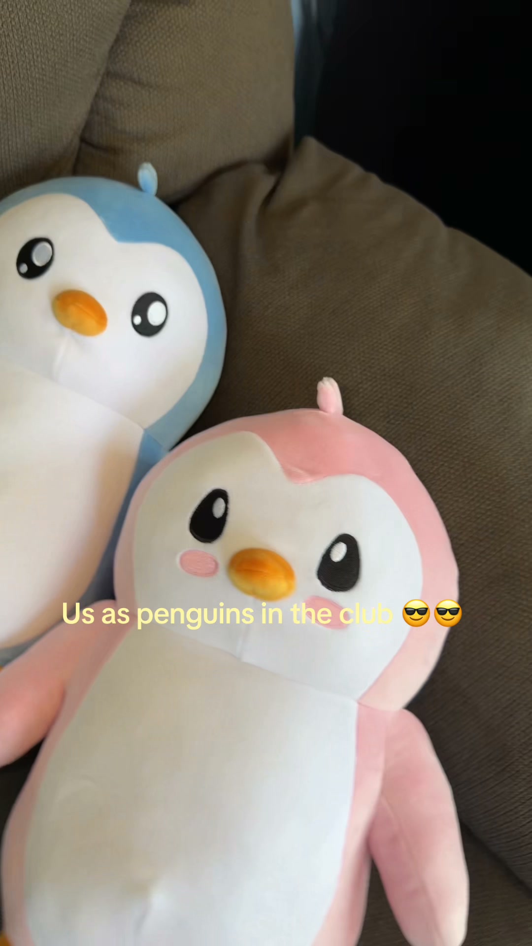 The Couple’s Plush Set