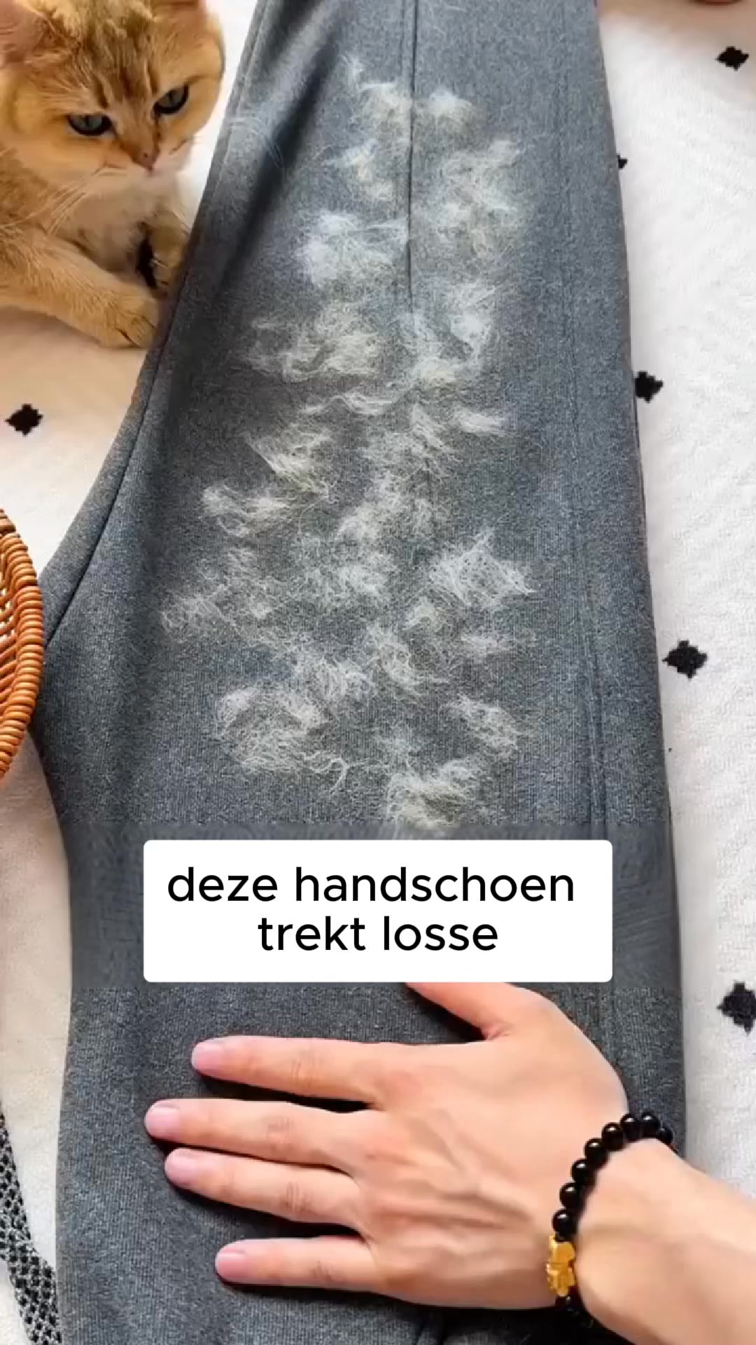 UITVERKOOP + GRATIS verzending!