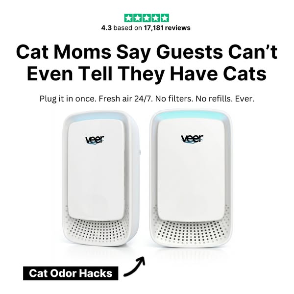 Get Rid of the Cat Pee Smell In Your Home (MUST READ)