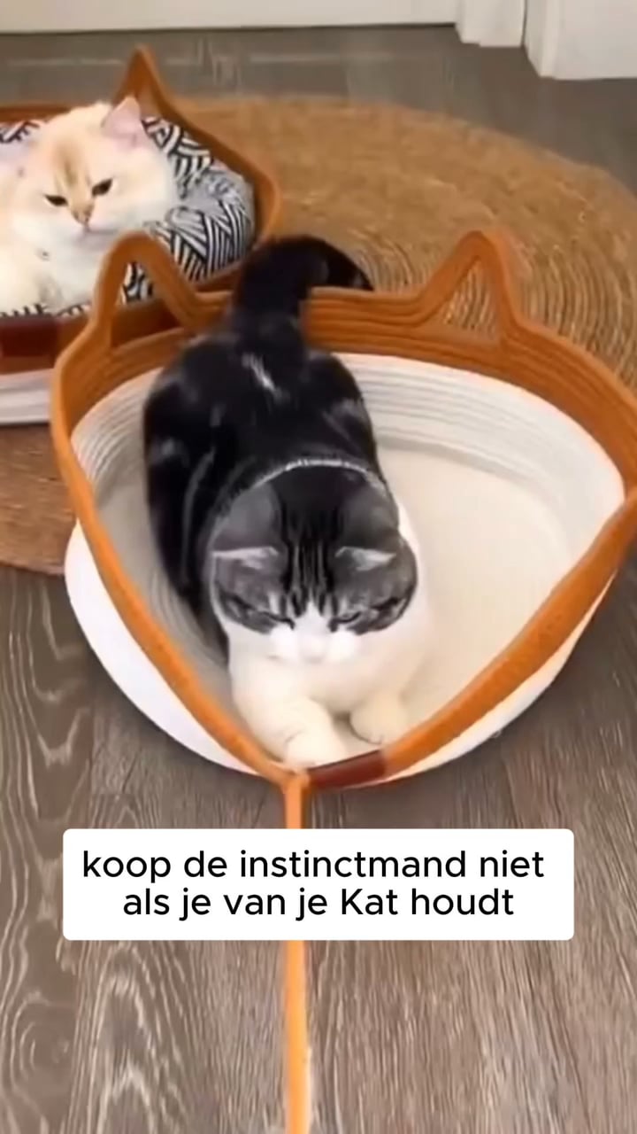 Al meer dan 20.000 verkocht