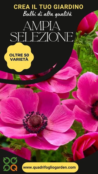 Fioriture Spettacolari Ordina i Tuoi Bulbi!
