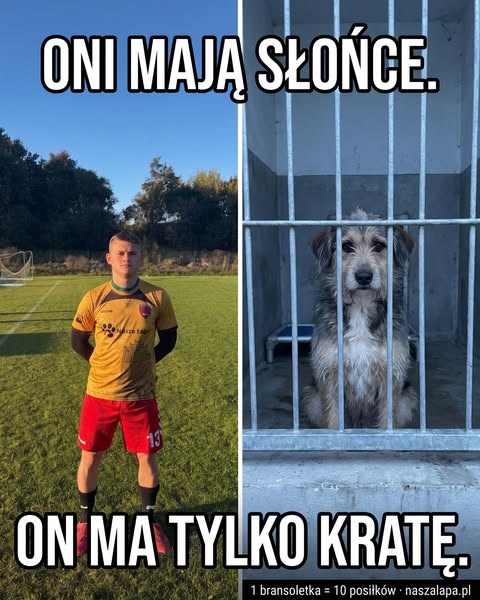 Każdy może napełnić miskę