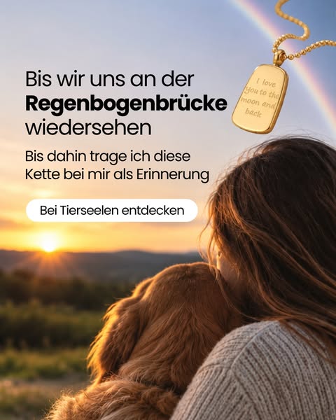 Für den Hund, den du für immer vermisst.