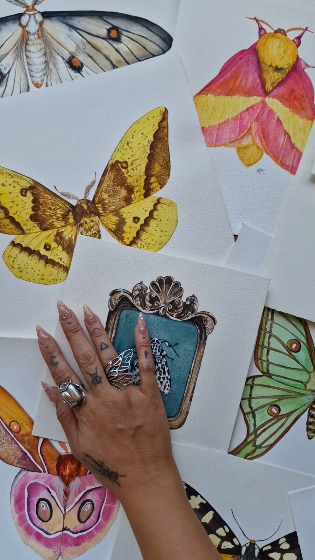 LAST CALL: Enrollment for Mastering Moths in Watercolor Closes Soon!