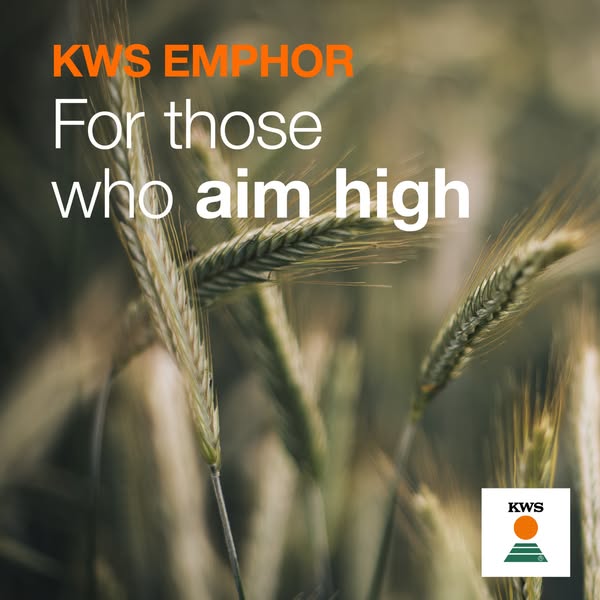 KWS Emphor