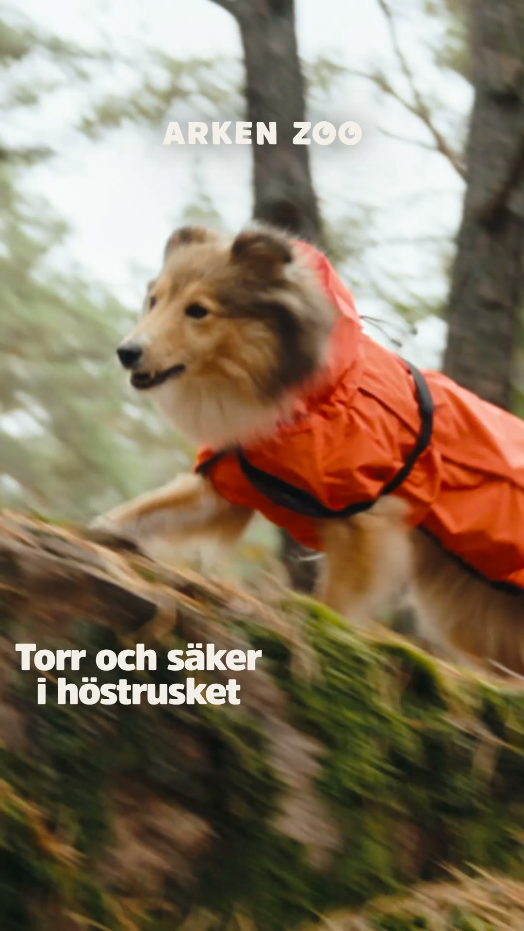 Kläder för höstens äventyr