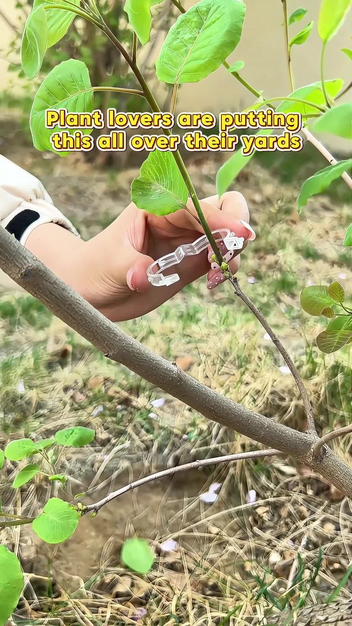 Plant Support Clips