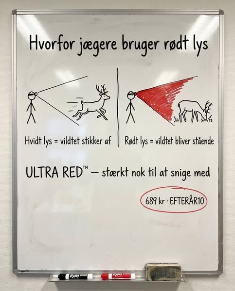 1.000 lumen. Op til 69 timer.