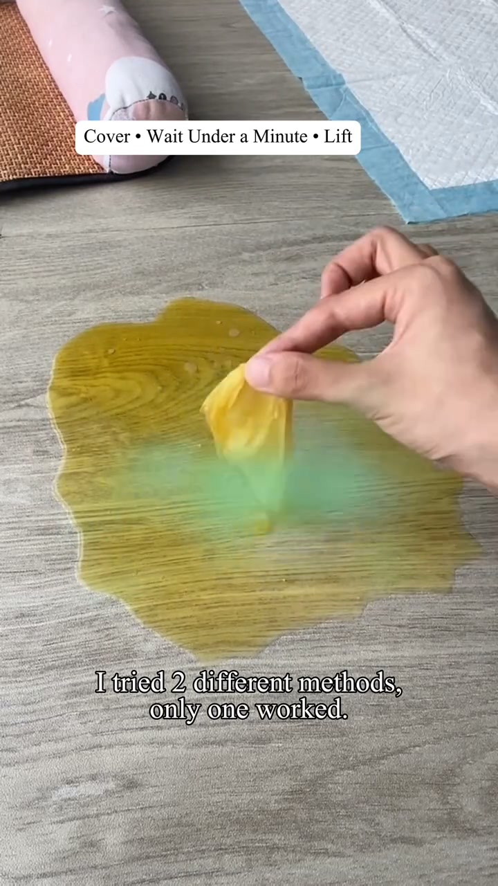 2026 Sale — Over 48,000 Sold! Super Absorbent Dog Pee Pads