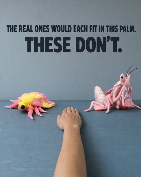 The Hand Is The Small One Here
