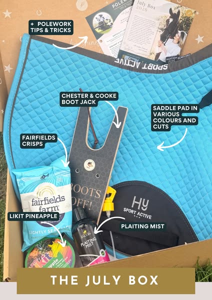 5–7 Tailored Treats for You & Your Horse