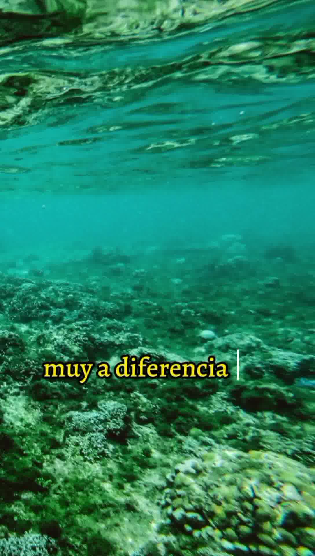 Domina el COLOR