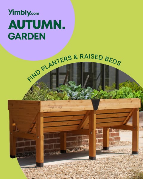 Dig Into Autumn