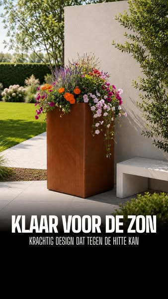 Door de zon gekust