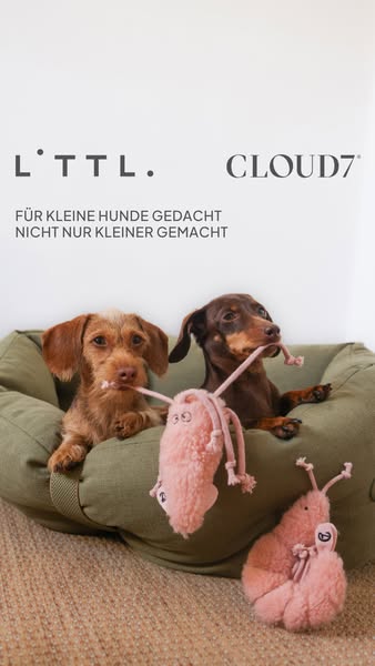 Hier entdecken