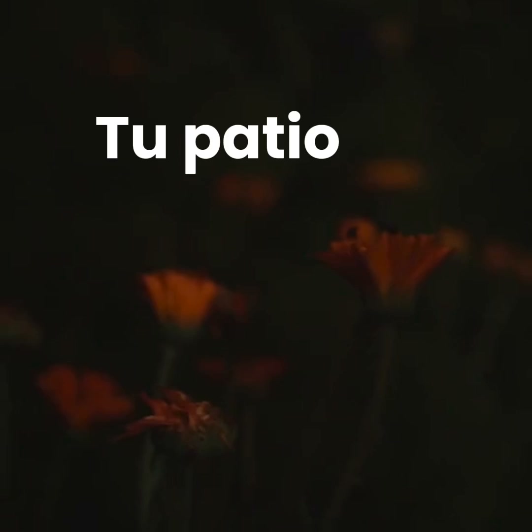 Transforma tu jardín al caer la noche