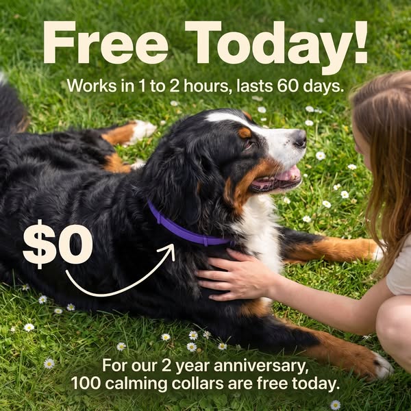 Free Today (Shipping Fee Applies)