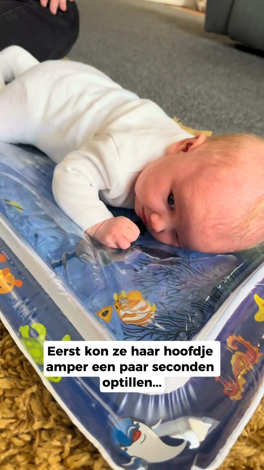 40% korting + Verzekerde Verzending