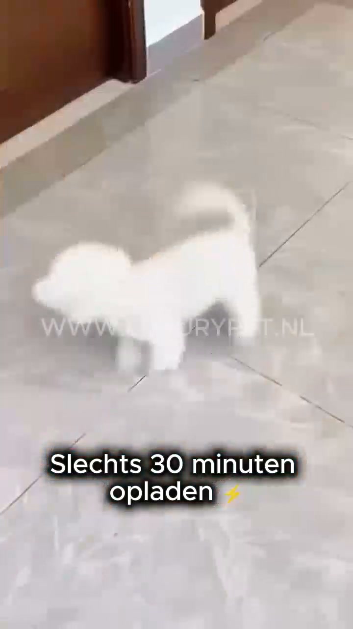 1+1 GRATIS op RolPret™