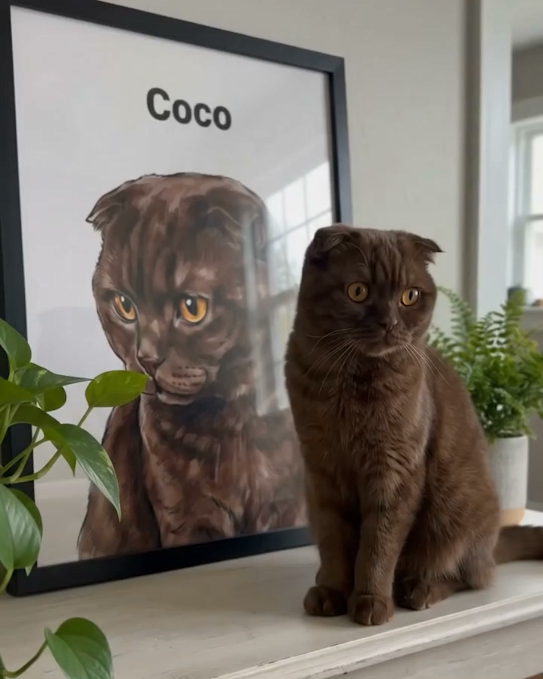 Perfect Gift for Pet Parents