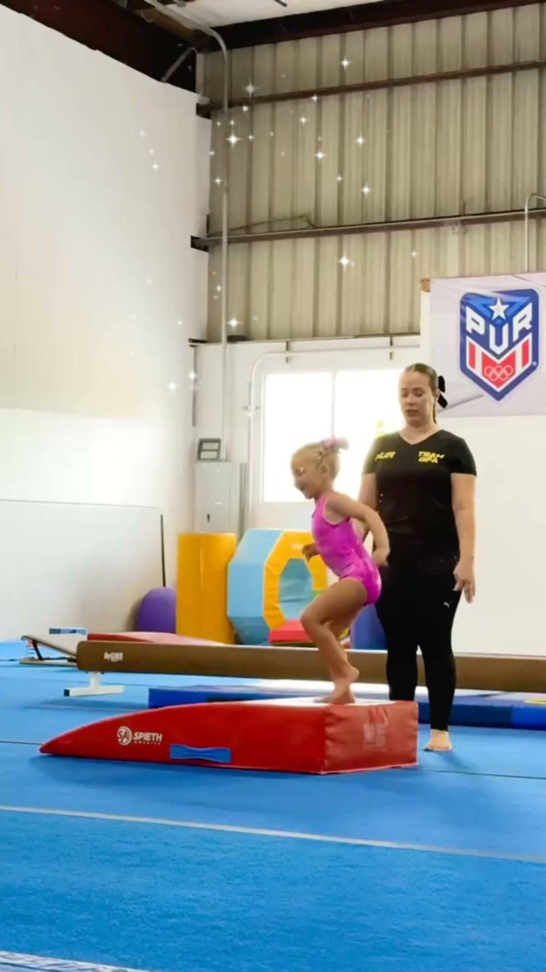 THE COMPLETE GYMNASTICS COACH SYSTEM