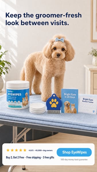 Keep the groomer-fresh look between visits