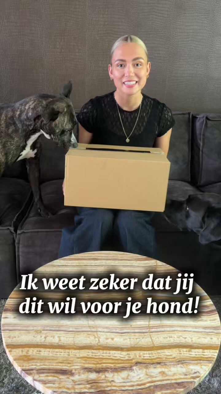 Meer dan 100 gezonde hondensnacks!