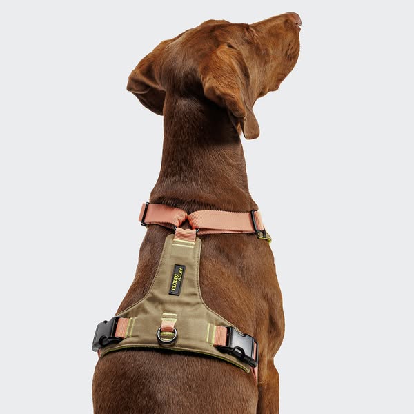 Y-2 Geschirr AKTIV Cordura Peach