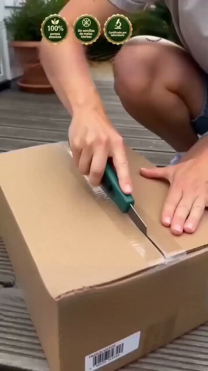 Semences de gazon Evergreen｜Résistant froid et sécheresse