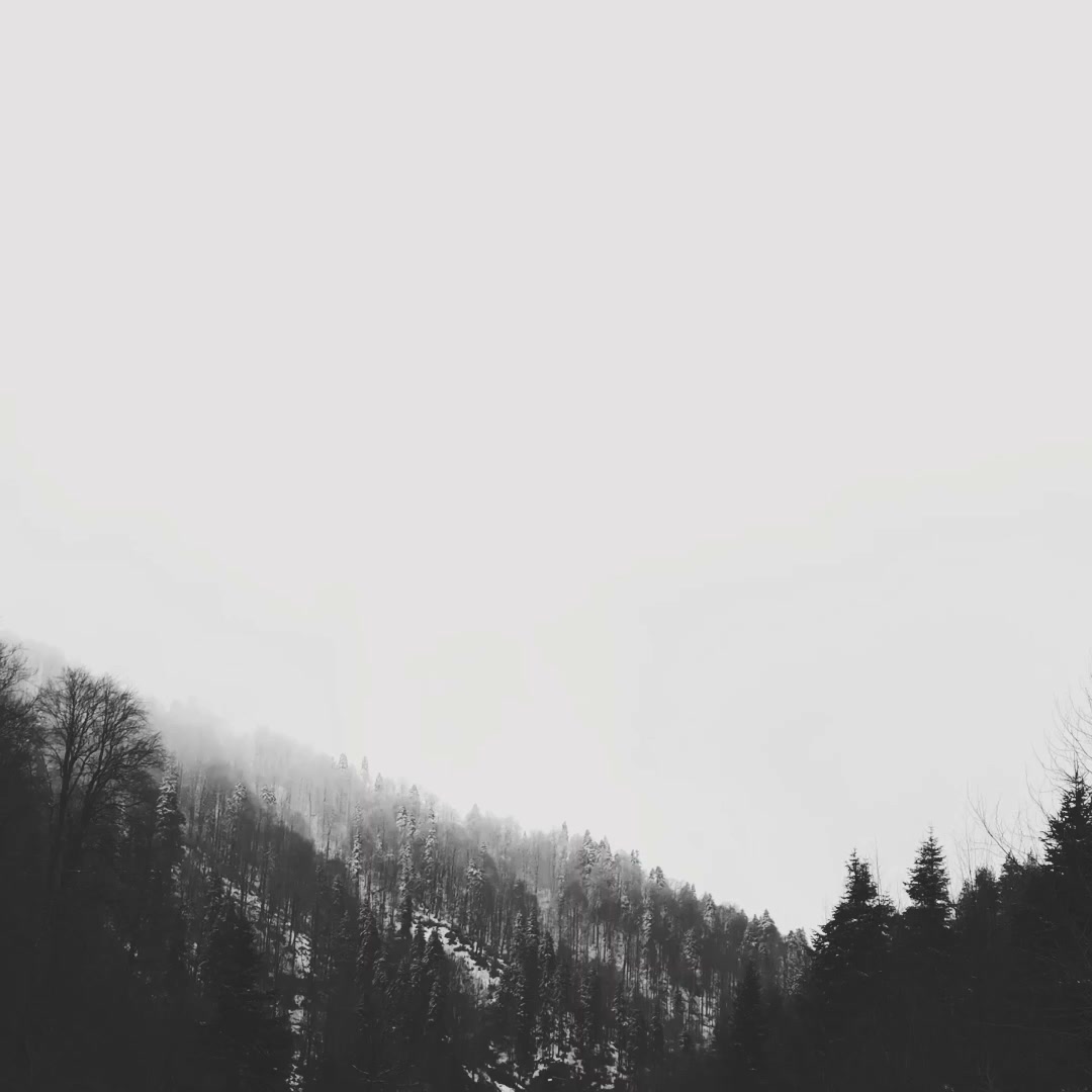 Stream "Verso Casa" Now