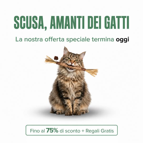 Di gatti che superano i 20 anni.