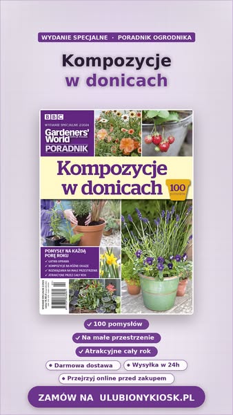 Gotowe pomysły, sprawdzone rozwiązania